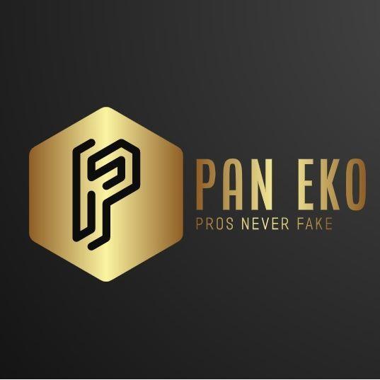 Player paneko avatar