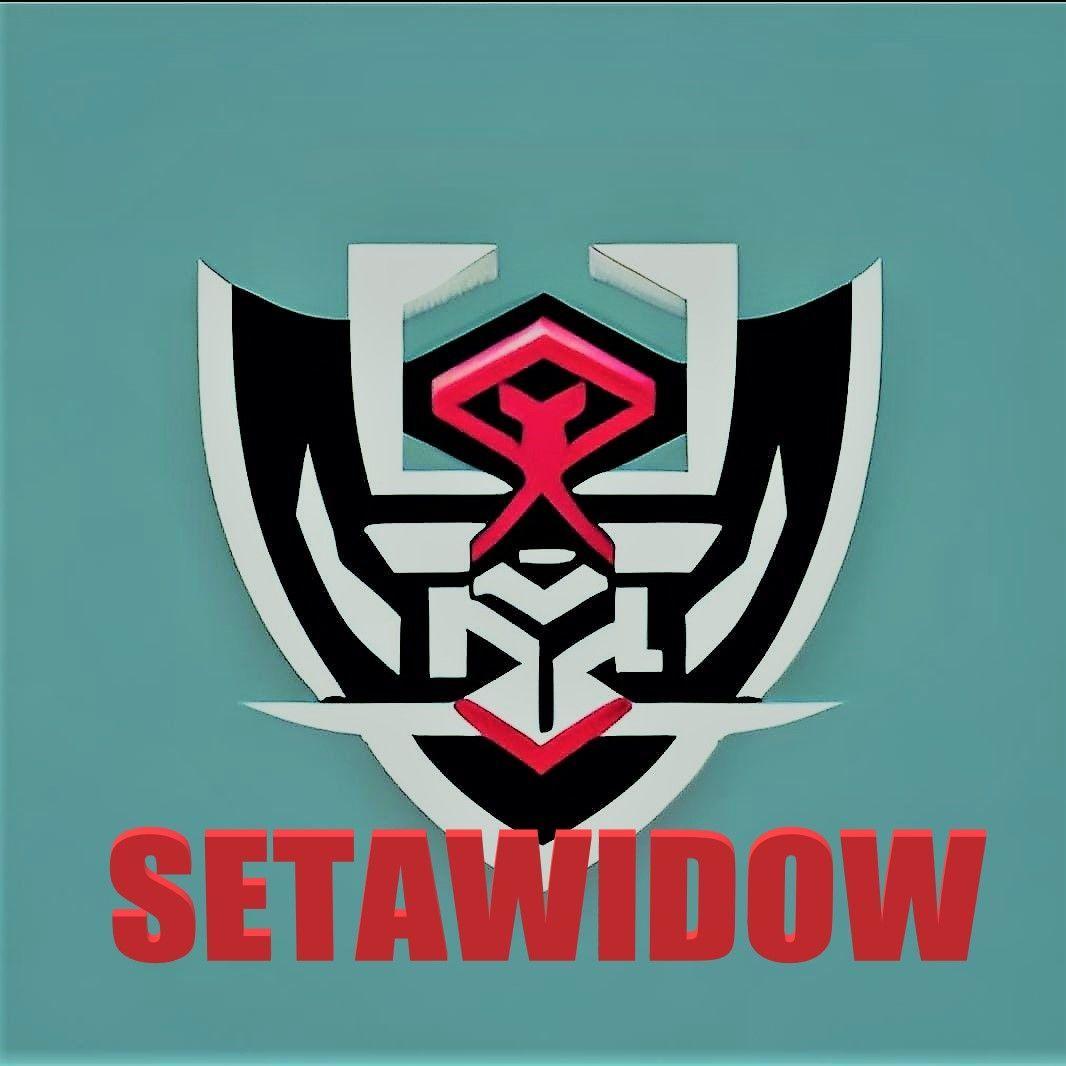 Player SetaWIDOW avatar
