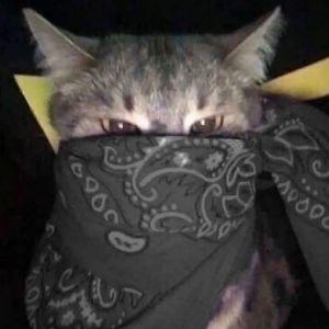 bbees avatar