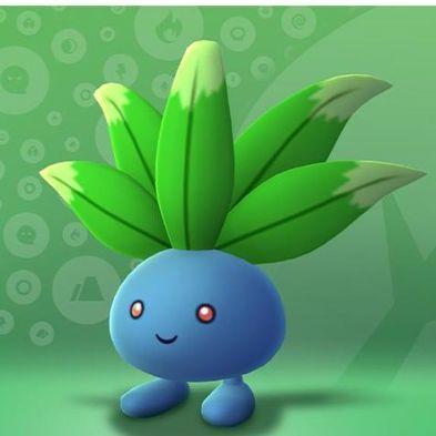 sigg avatar