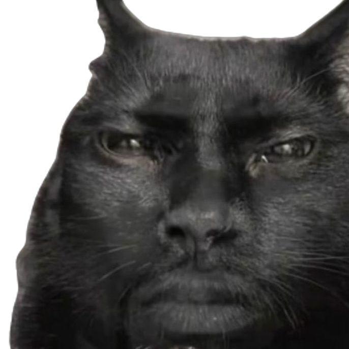 SIRIUS_BLACK avatar
