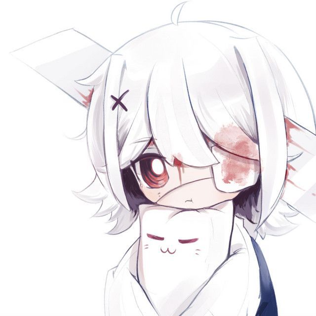 team_dekiteiru