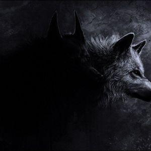 Royal_Wolf_ avatar