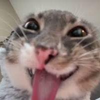 ikkix2 avatar