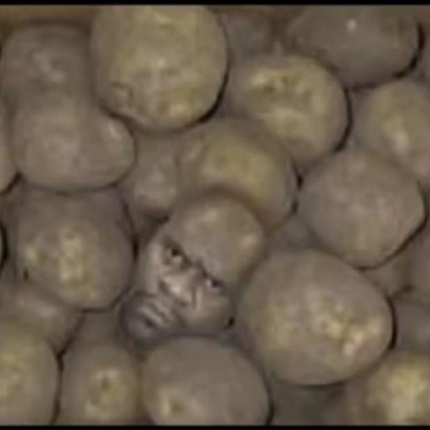ROLtIk_ avatar