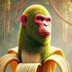 WojoChomik avatar