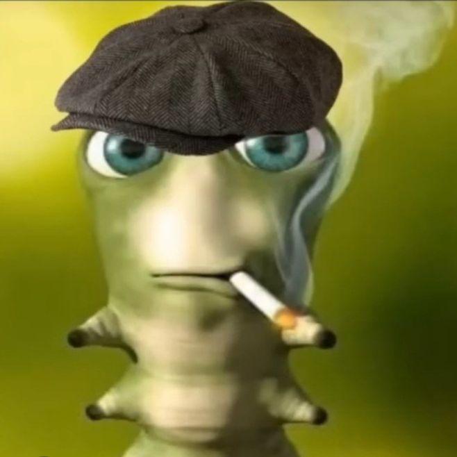 Zip-zap avatar