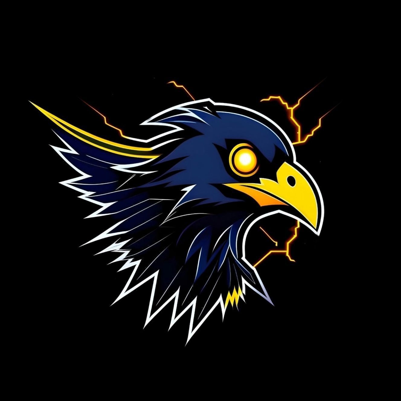Thunder Birds