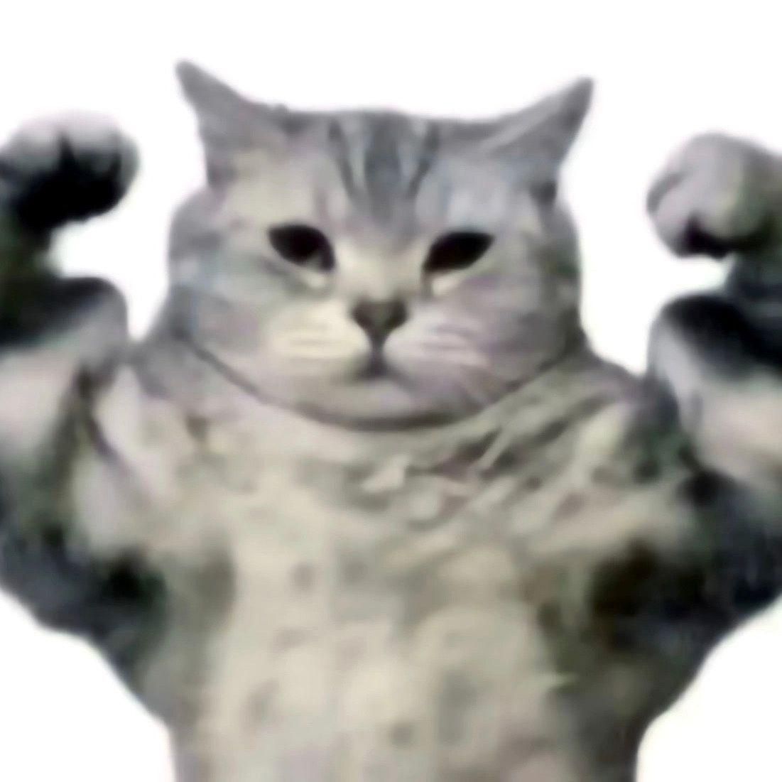 14avgDm0nk1d avatar
