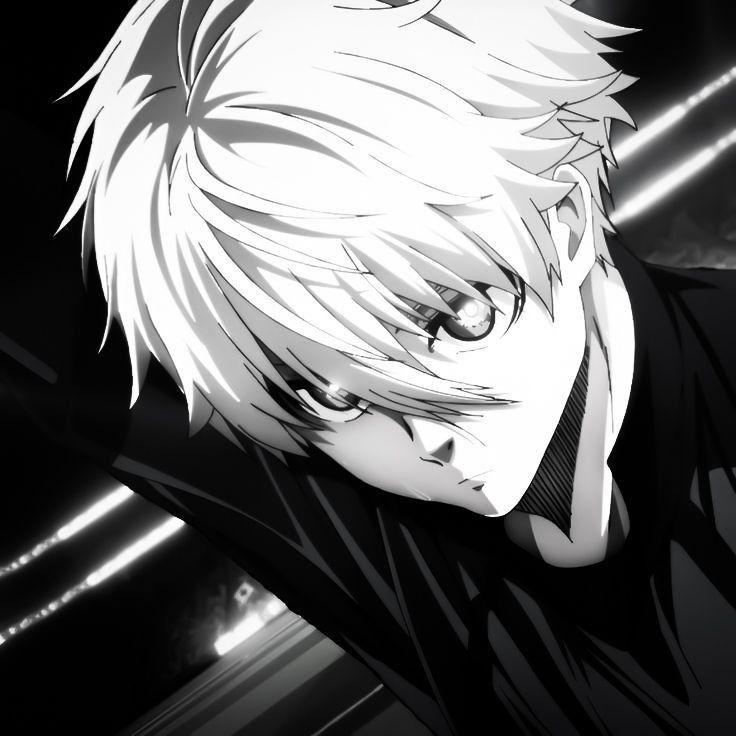 -butterfly-