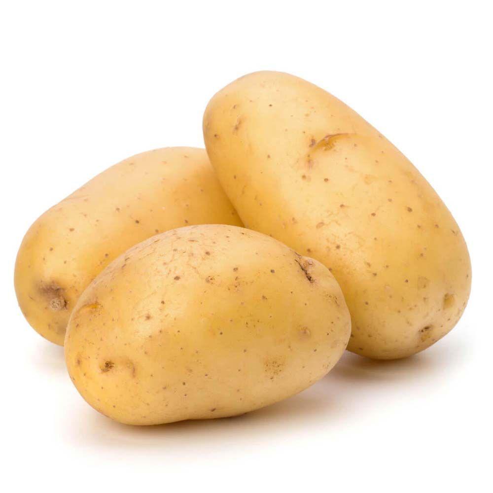 potato99999 avatar