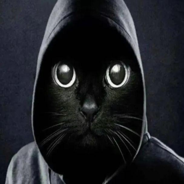 merkeljee avatar
