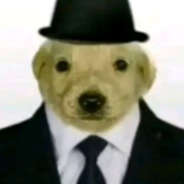 RoZaK avatar