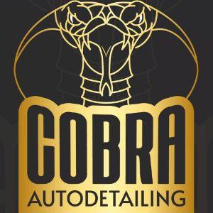 OrgCobra avatar