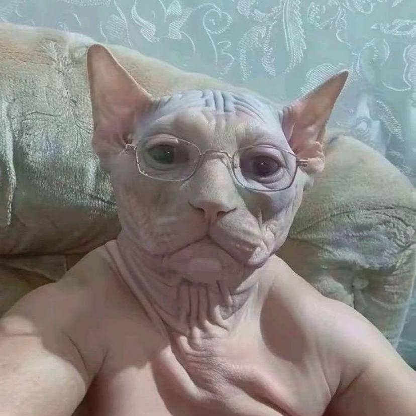 iuhdfio avatar