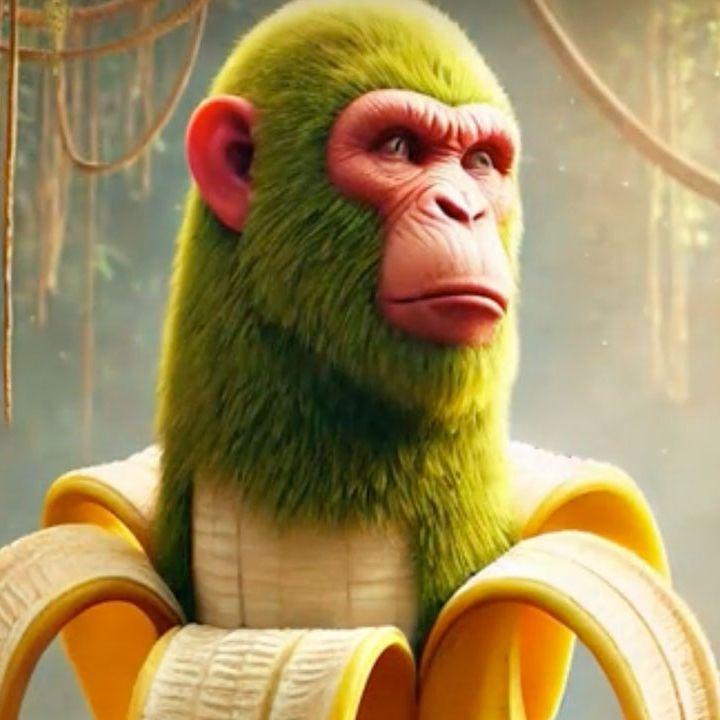 Bananinii avatar