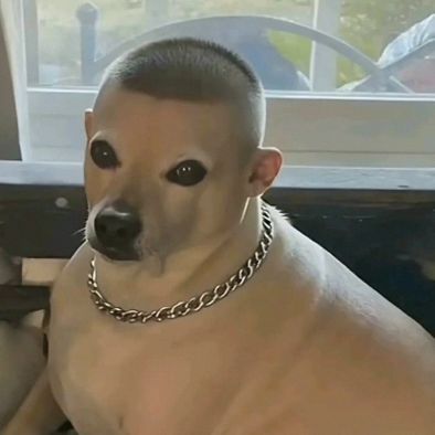 team_stfuR