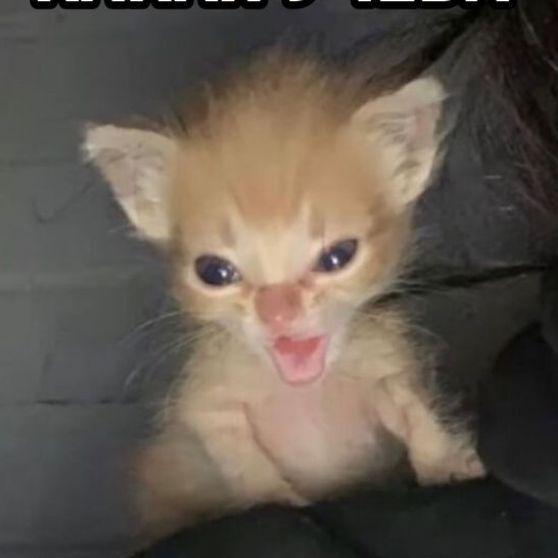 ha0kayg_kz avatar