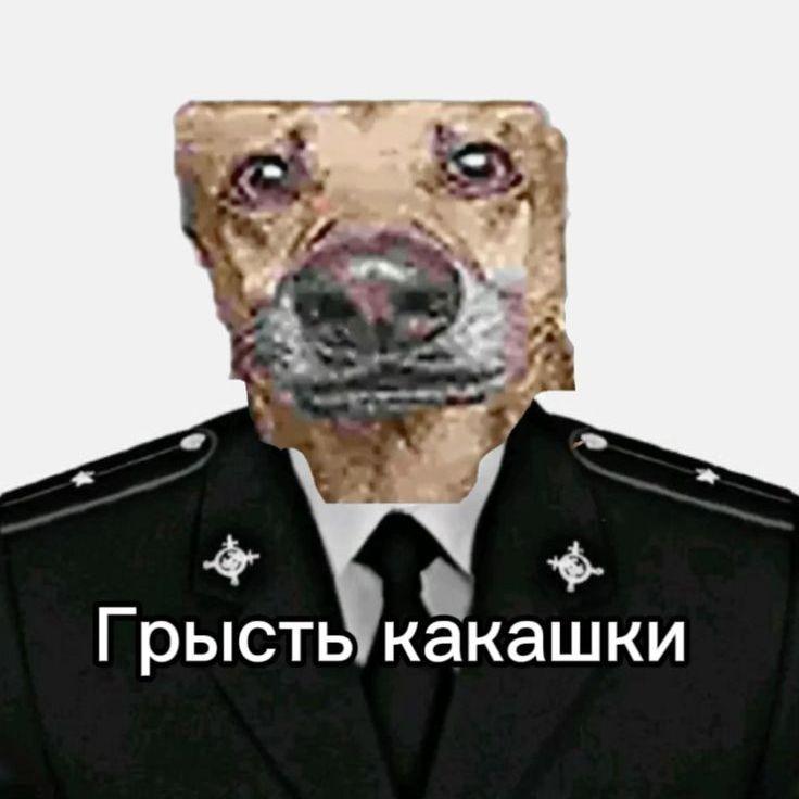 prokhor18