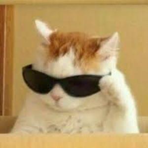 CHUNFUN avatar