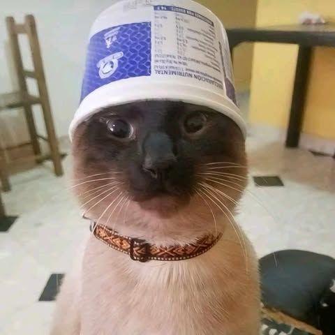 Cyquss avatar