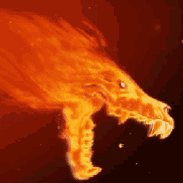 squdix avatar