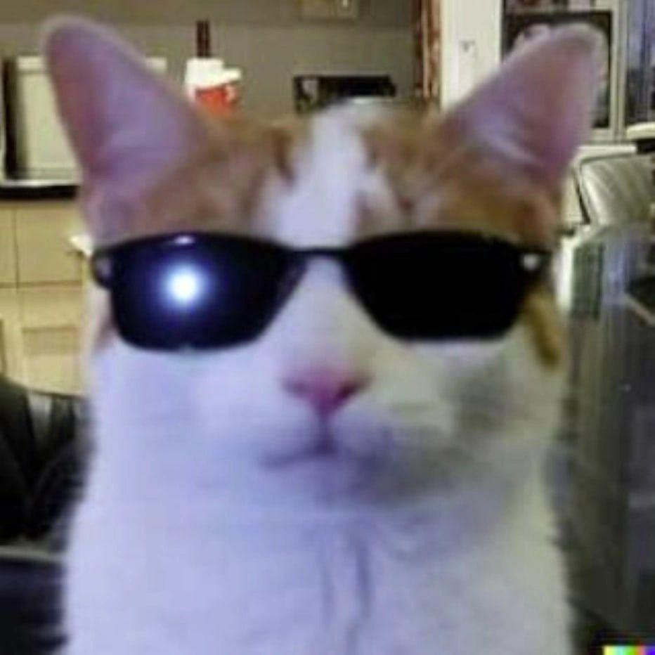 HayKLid avatar