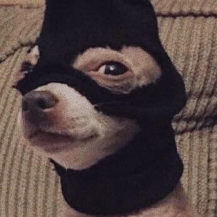 baceeeeee
