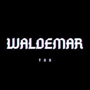 Player WALDEMAR_vPv avatar