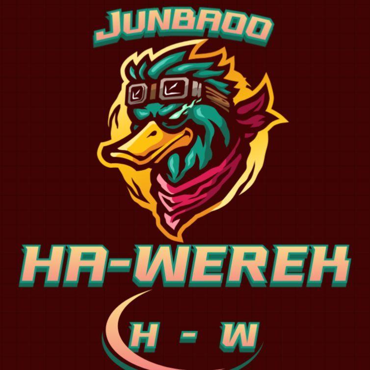 junbaoo avatar