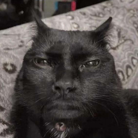 m0t1w
