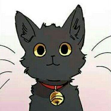 Nonoxcat avatar