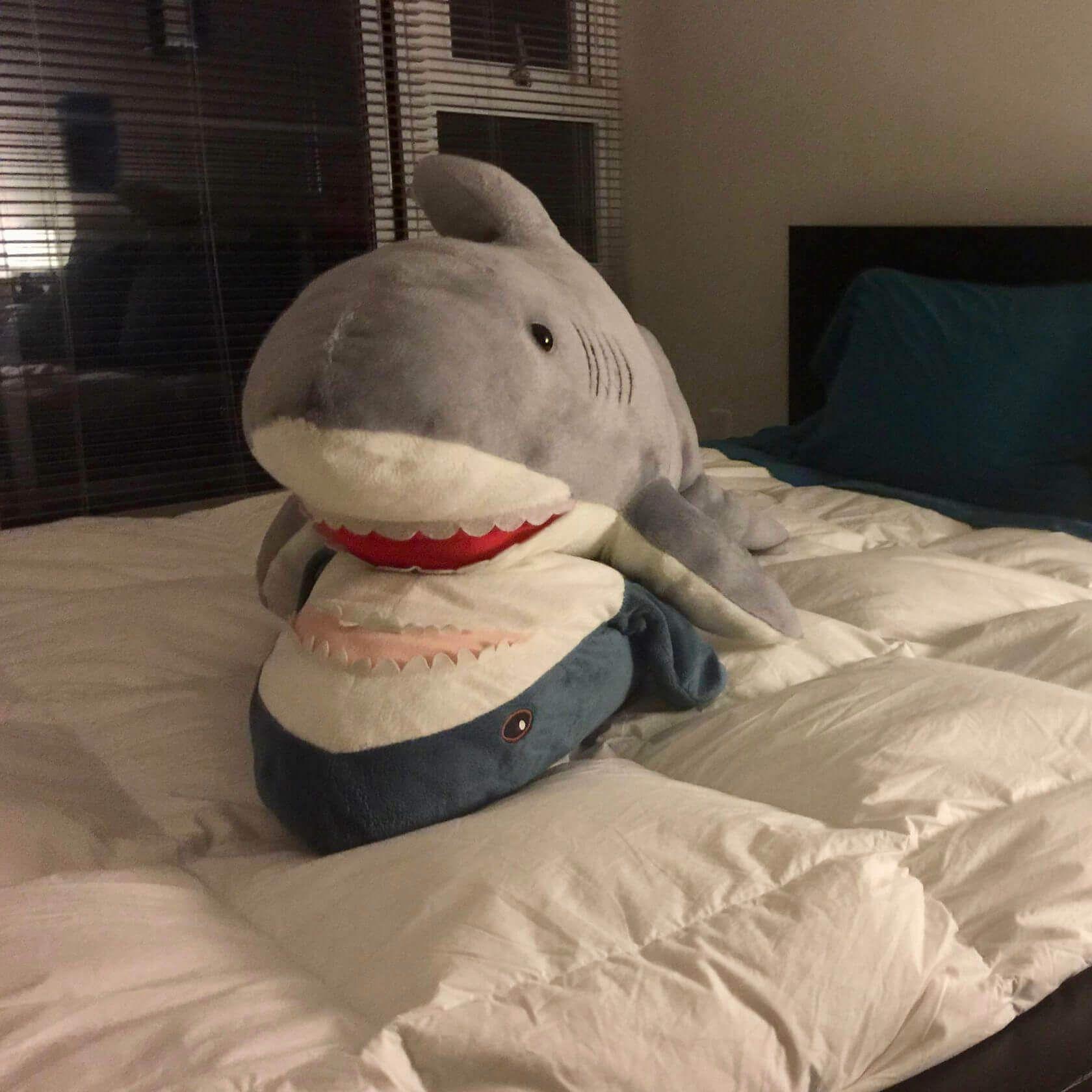 Sharkyyyyyya