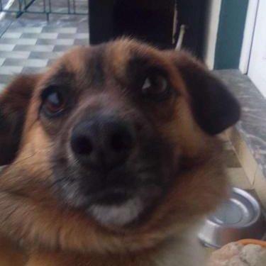 _Toninho_ avatar
