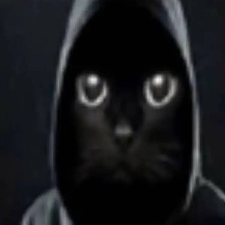 Faceit Avatar