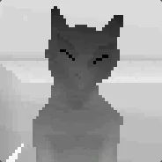 wifi-13