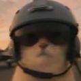hjjgf FACEIT avatar
