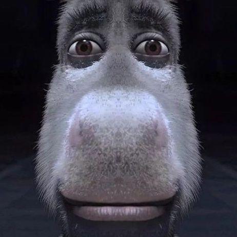 Tonkachi avatar