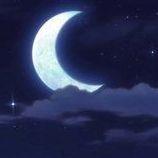 SvcSkynight avatar