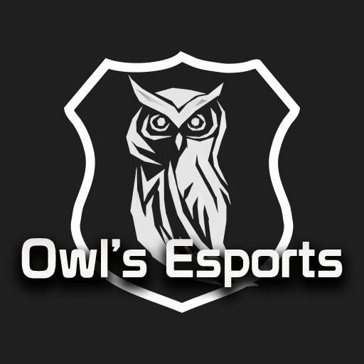 Owl's eSport