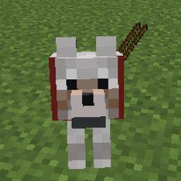 buckibuck avatar
