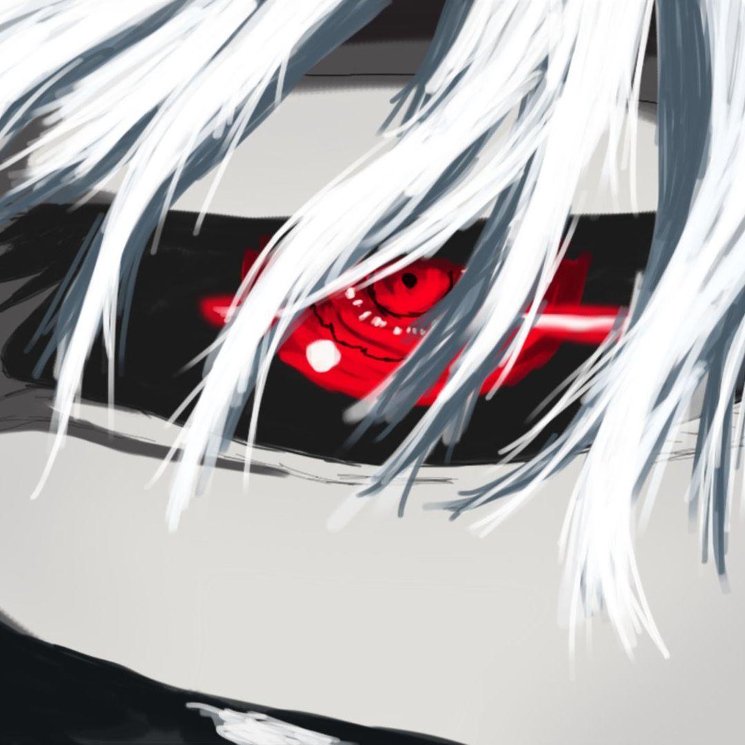 botik484 avatar