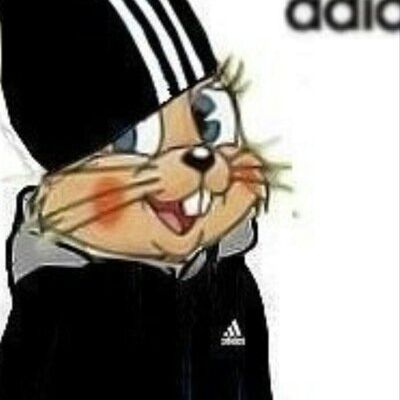 team_ZaV_od