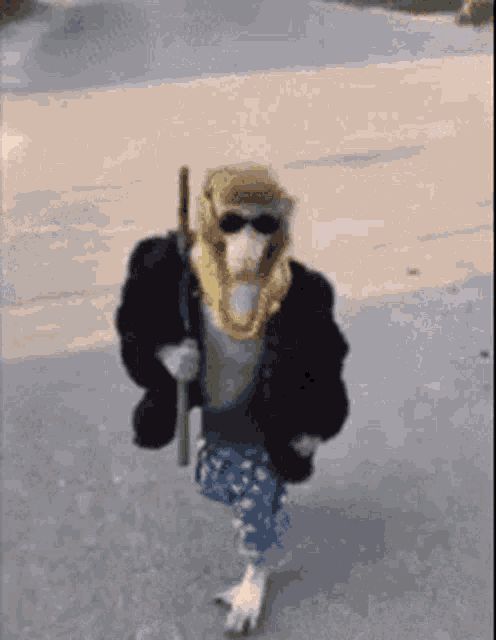 team_Coldmarkos