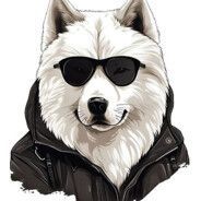 Faceit avatar