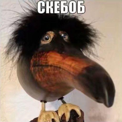 CKEbOb_ avatar