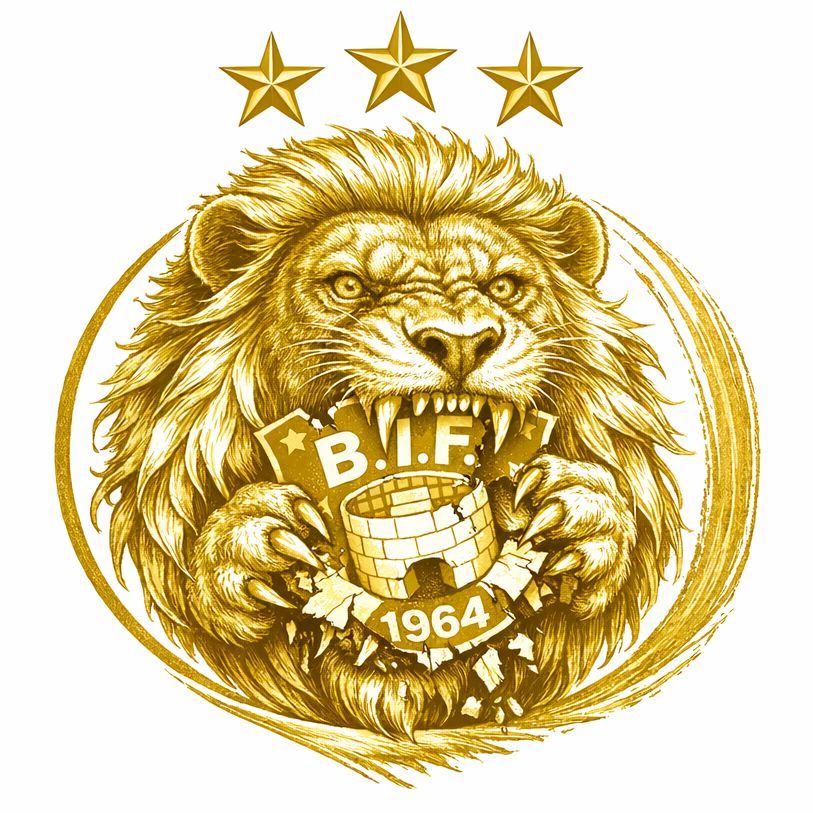 team_Moelmer