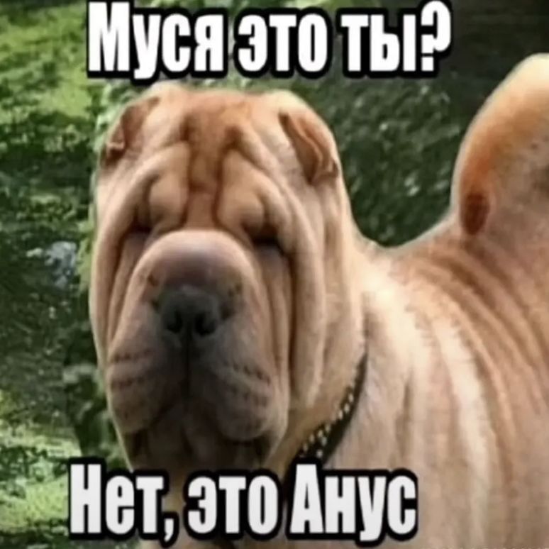 M0nst1rey
