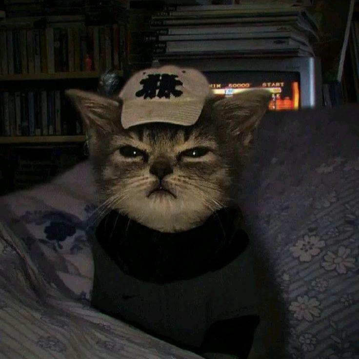 augustsnybor avatar