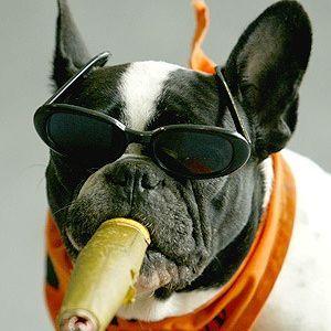 Spainz avatar